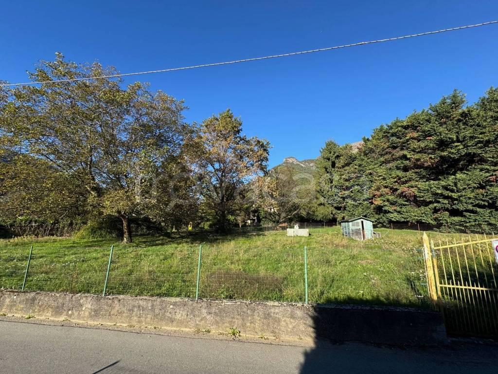 immagine annuncio 2 di 4