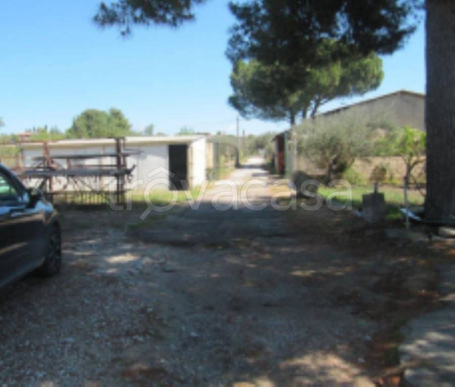 immagine annuncio 8 di 11