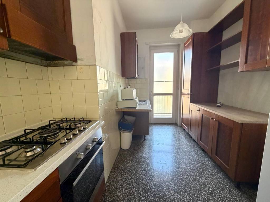 immagine annuncio 5 di 14