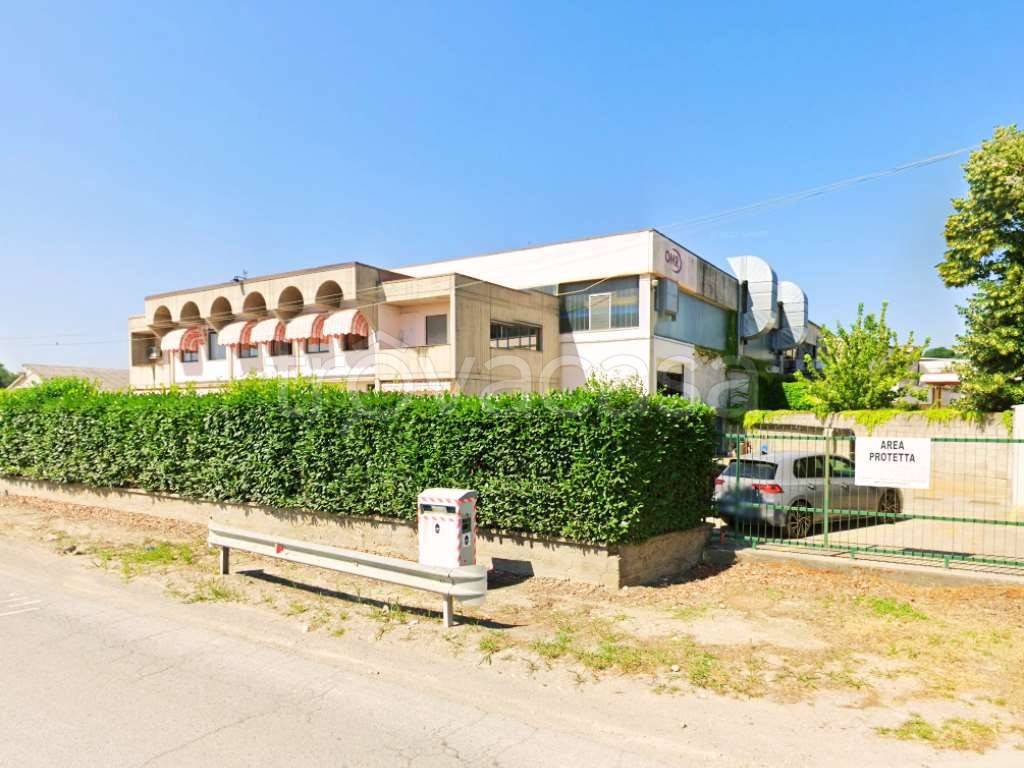 immagine annuncio 10 di 11