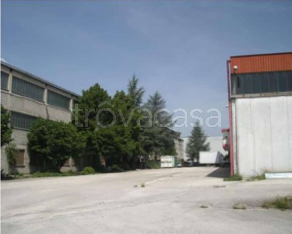 immagine annuncio 10 di 11