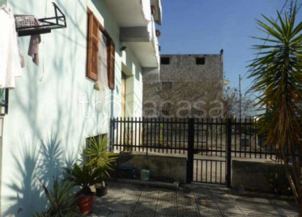 immagine annuncio 12 di 14