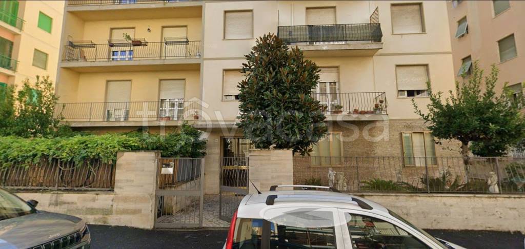 immagine annuncio 3 di 14