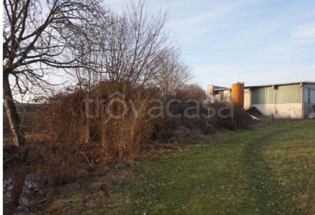 immagine annuncio 3 di 14