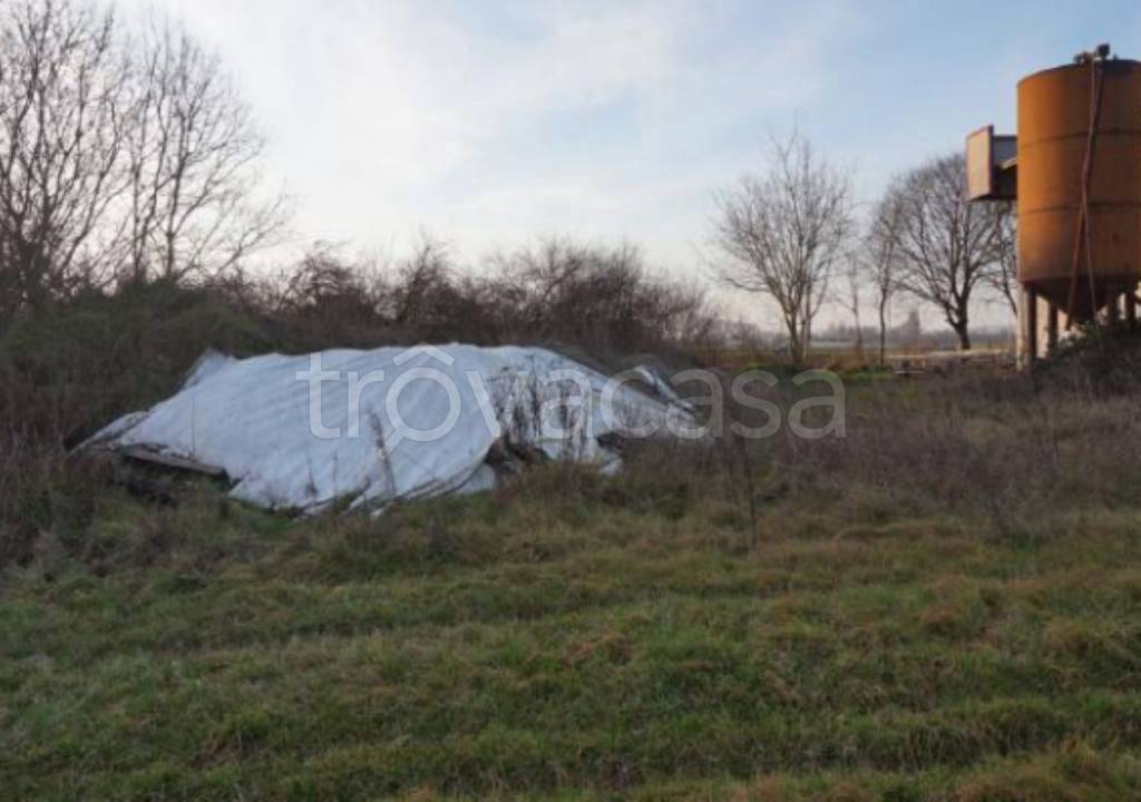 immagine annuncio 4 di 14