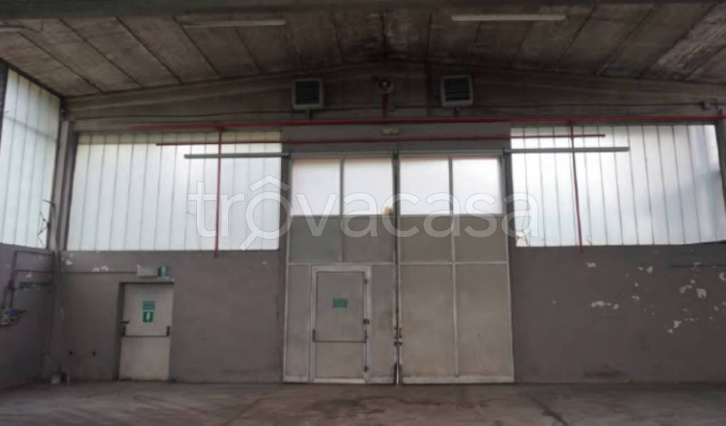 immagine annuncio 5 di 14