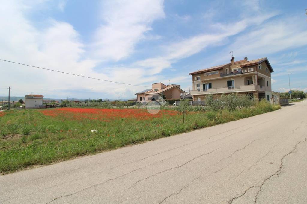 immagine annuncio 3 di 12