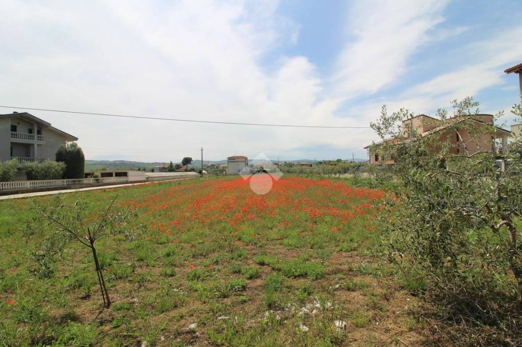 immagine annuncio 4 di 12