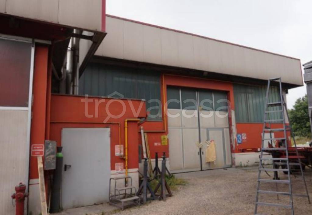 immagine annuncio 6 di 14