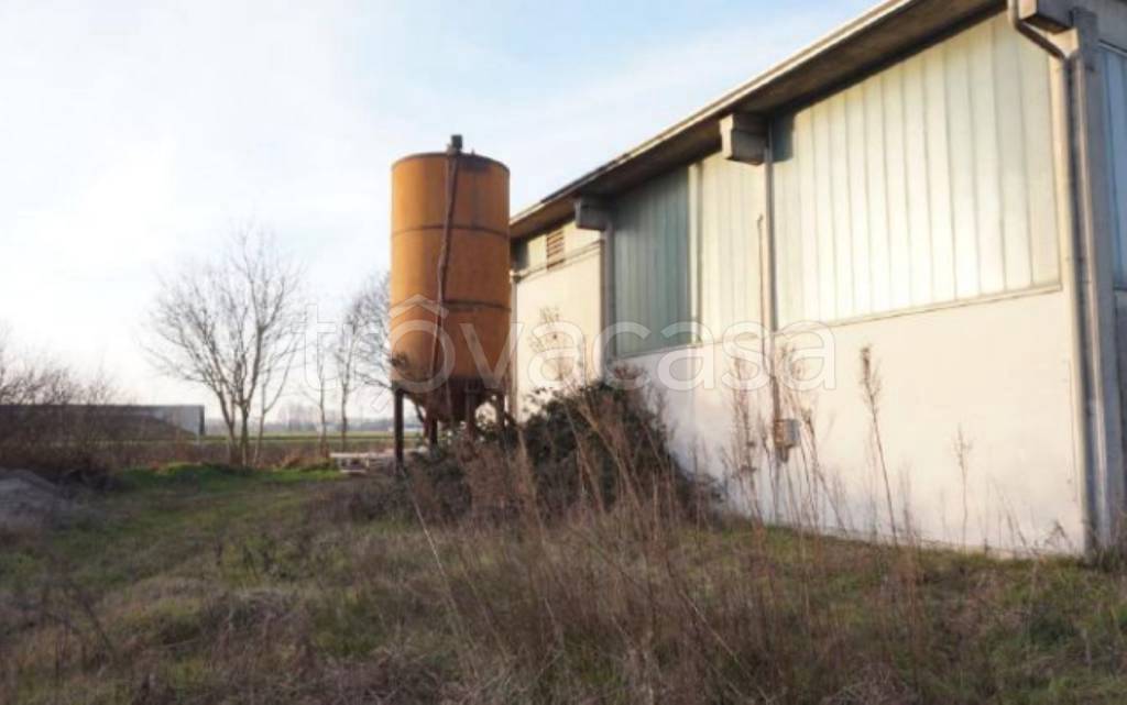 immagine annuncio 10 di 14