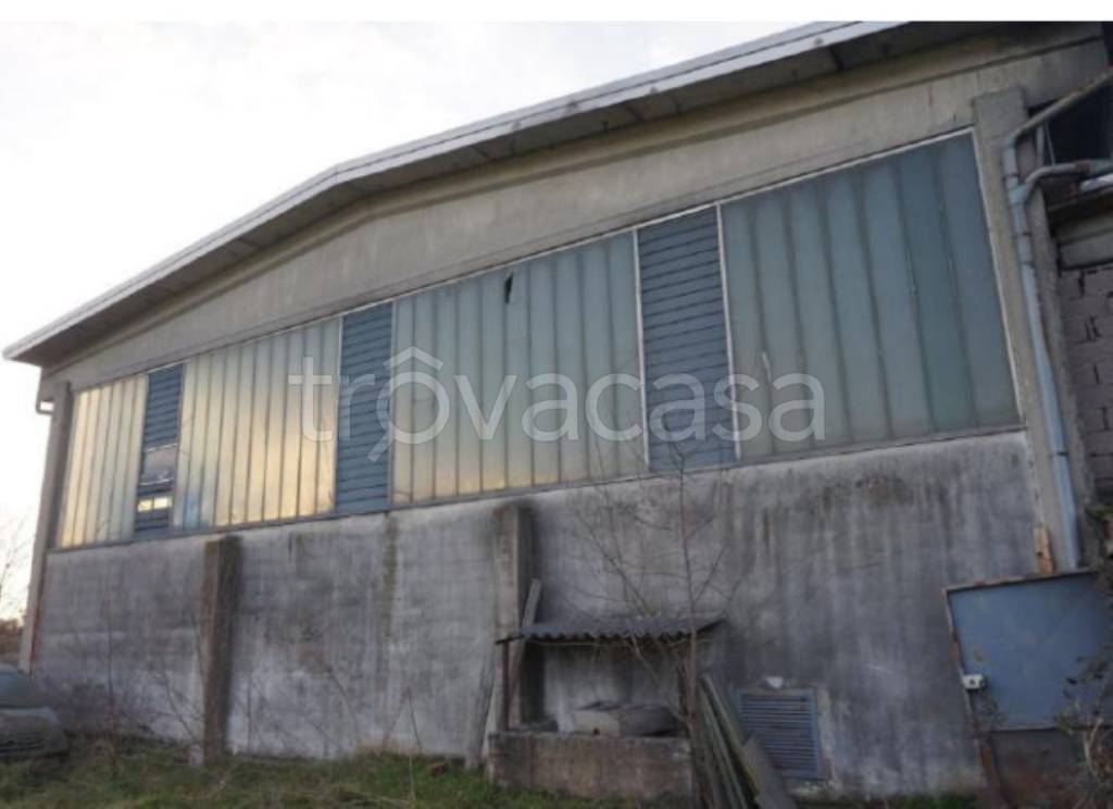 immagine annuncio 12 di 14