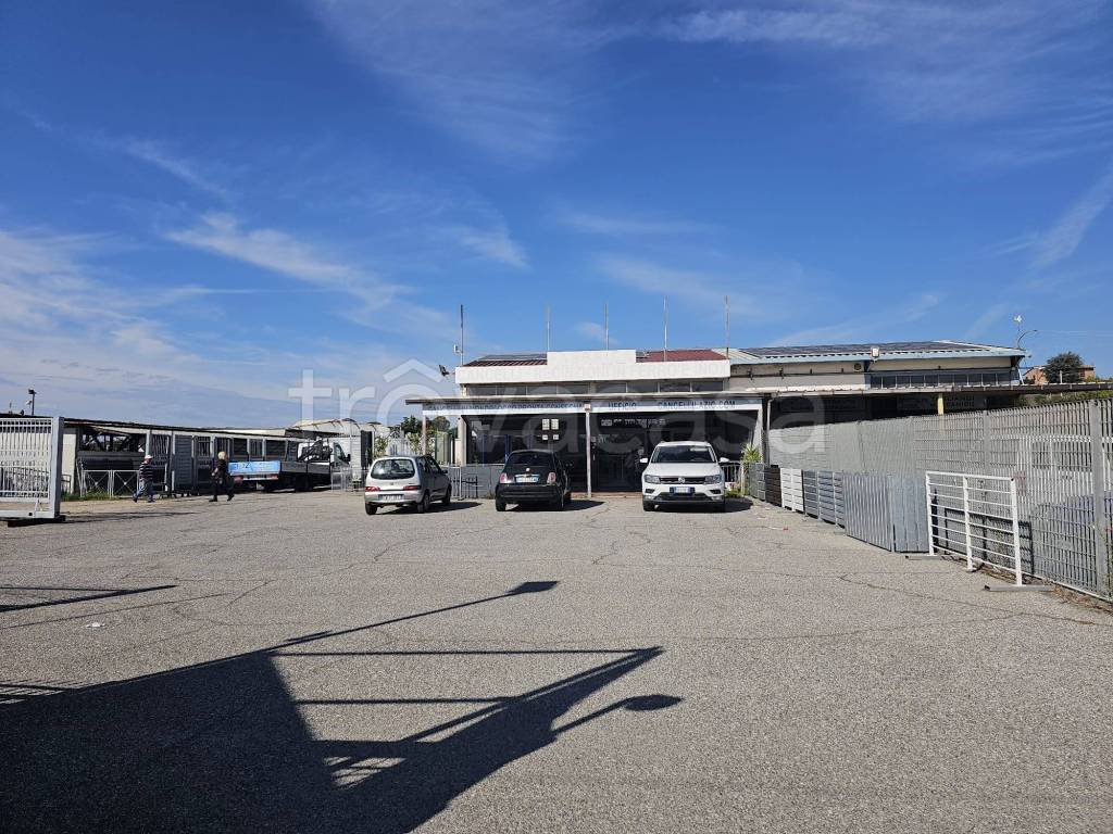 immagine annuncio 2 di 11