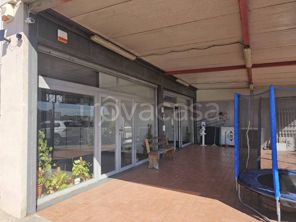 immagine annuncio 3 di 11