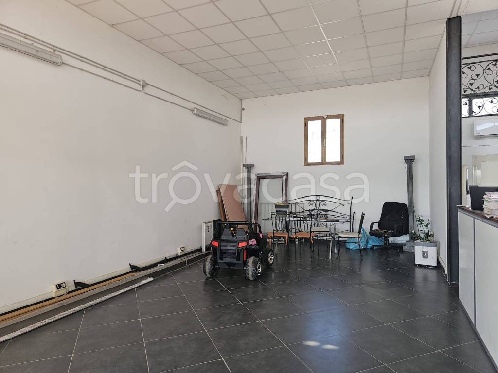 immagine annuncio 6 di 11