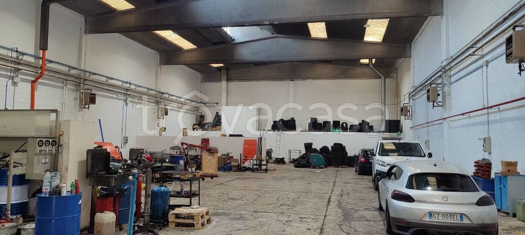 immagine annuncio 3 di 6