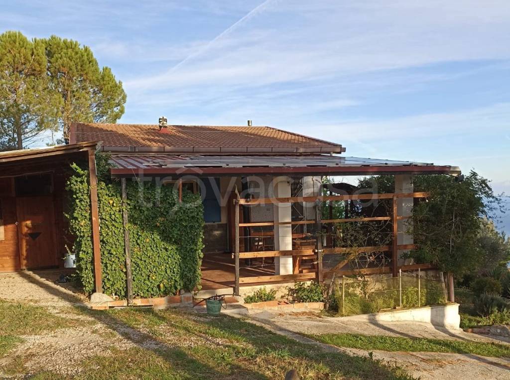 immagine annuncio 1 di 8