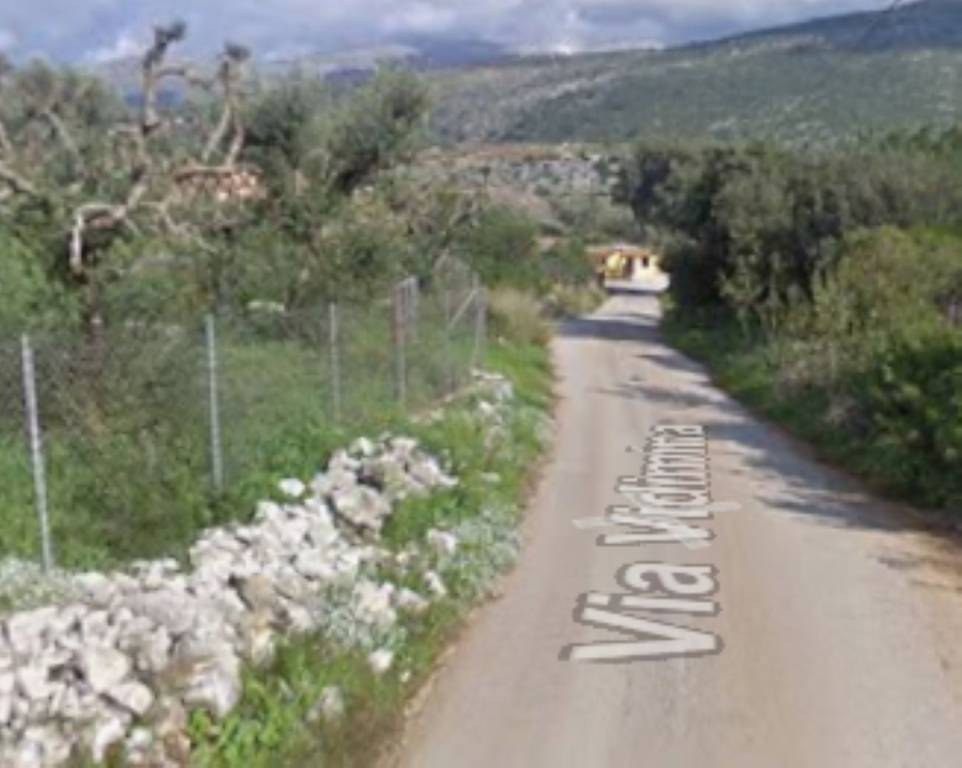 immagine annuncio 6 di 12