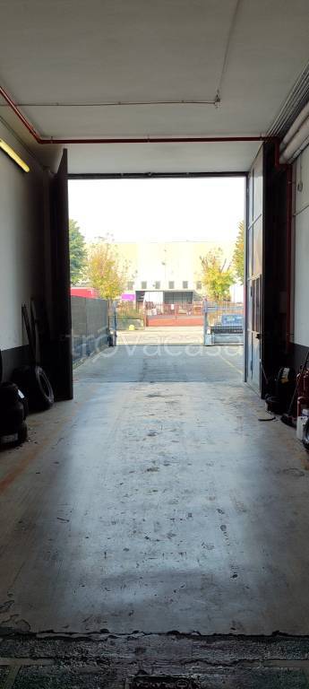 immagine annuncio 3 di 6