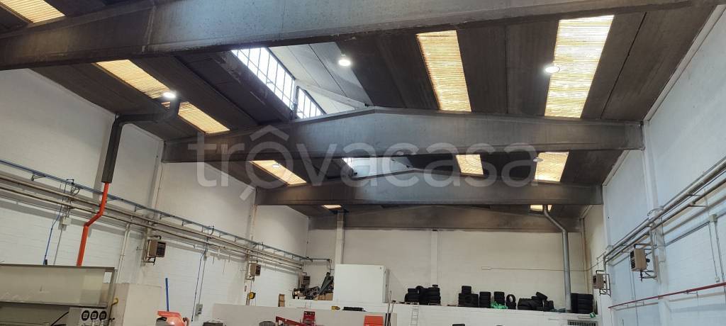 immagine annuncio 5 di 6