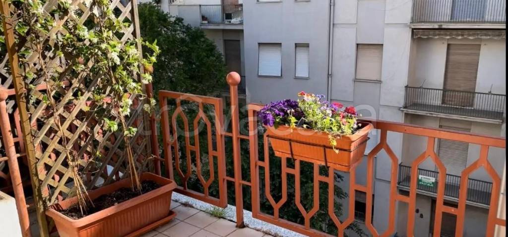 immagine annuncio 3 di 6