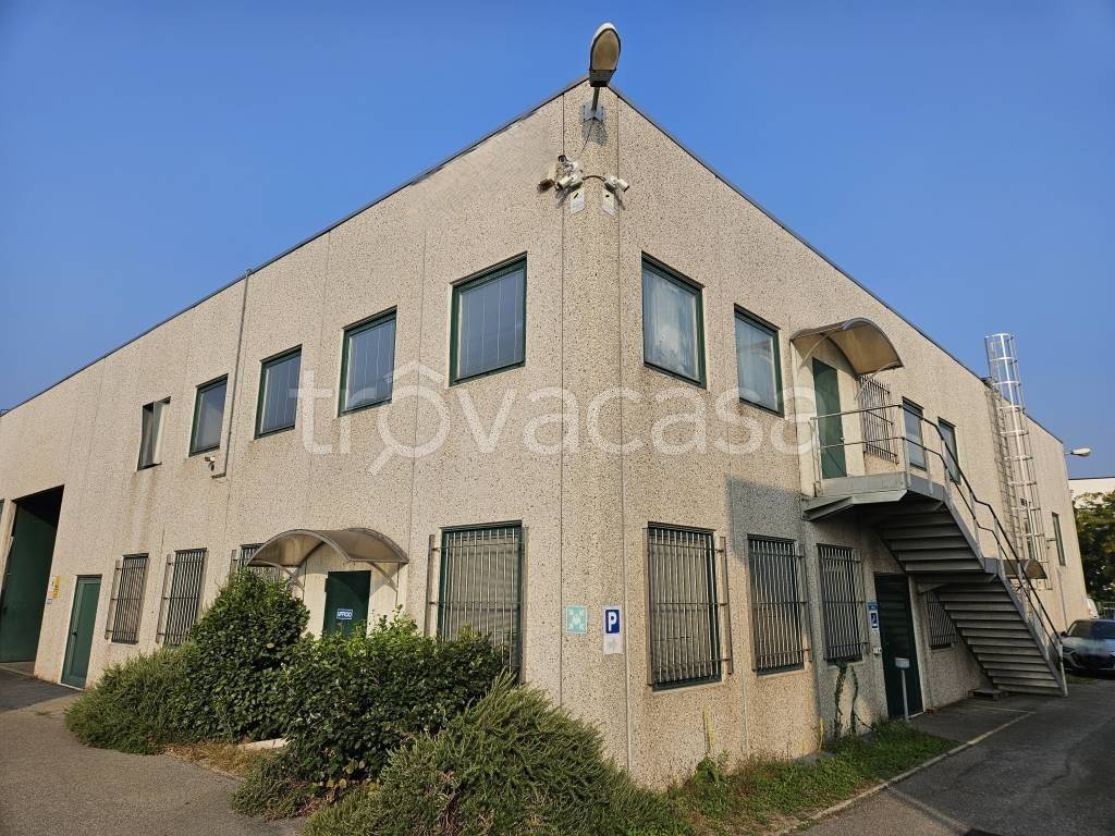 immagine annuncio 5 di 15