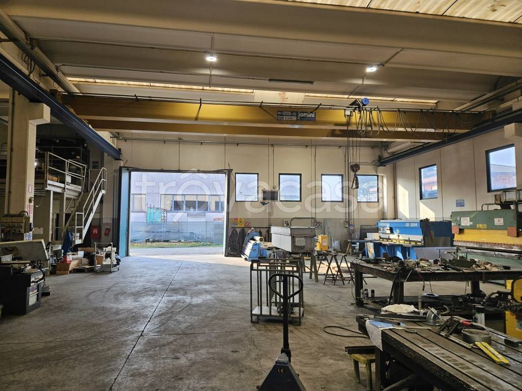 immagine annuncio 9 di 15