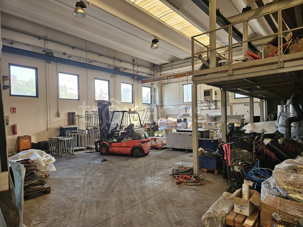 immagine annuncio 12 di 15