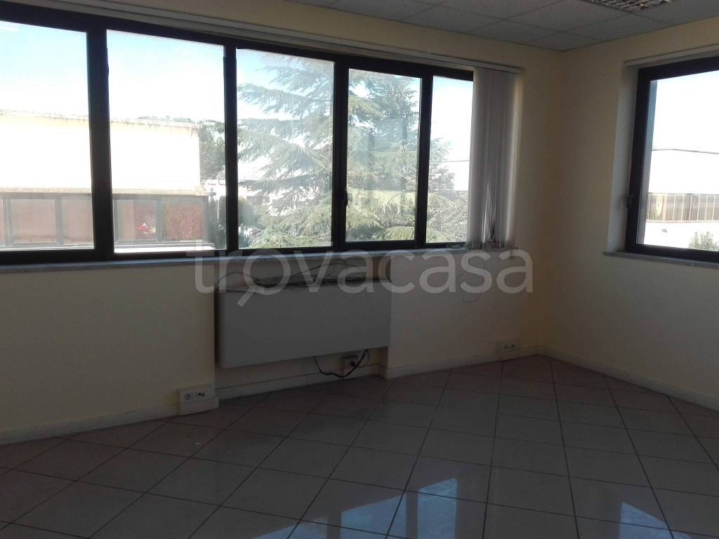 immagine annuncio 5 di 7