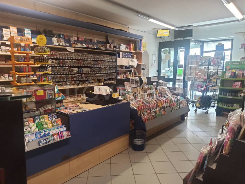 immagine annuncio 4 di 8