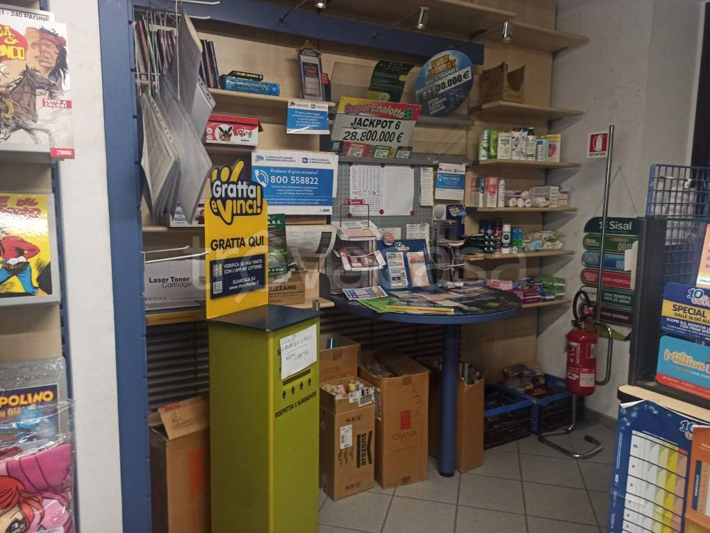 immagine annuncio 5 di 8