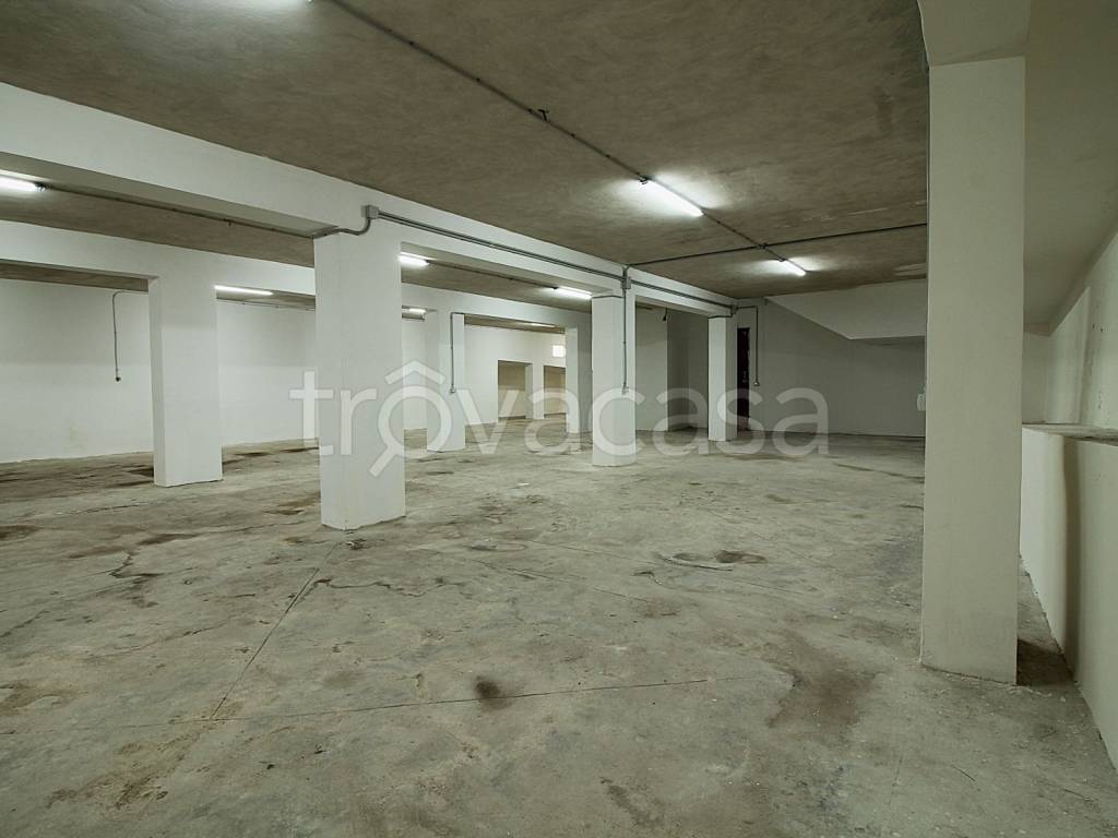 immagine annuncio 9 di 13