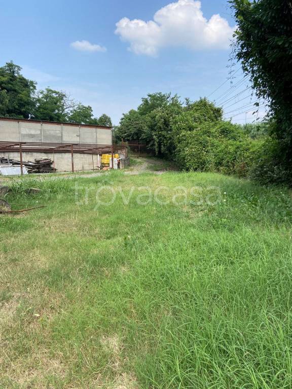 immagine annuncio 1 di 12