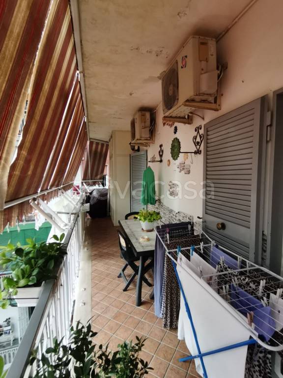 immagine annuncio 3 di 8