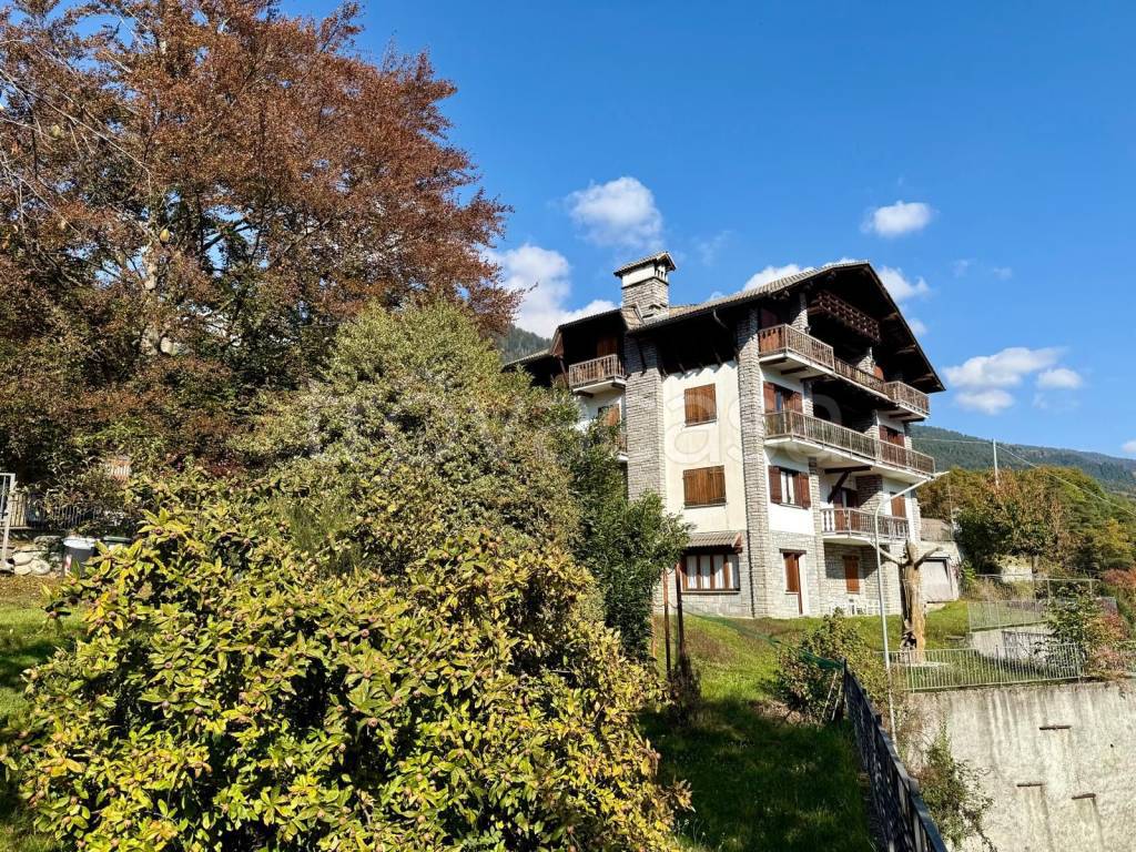 immagine annuncio 13 di 15