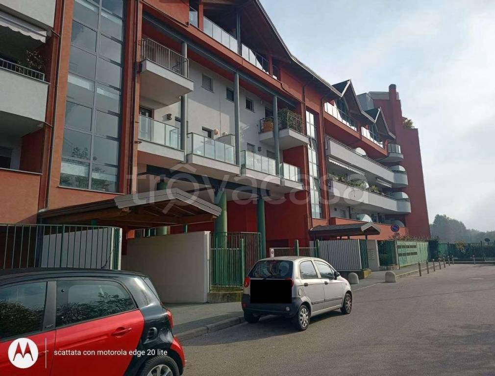 immagine annuncio 1 di 15