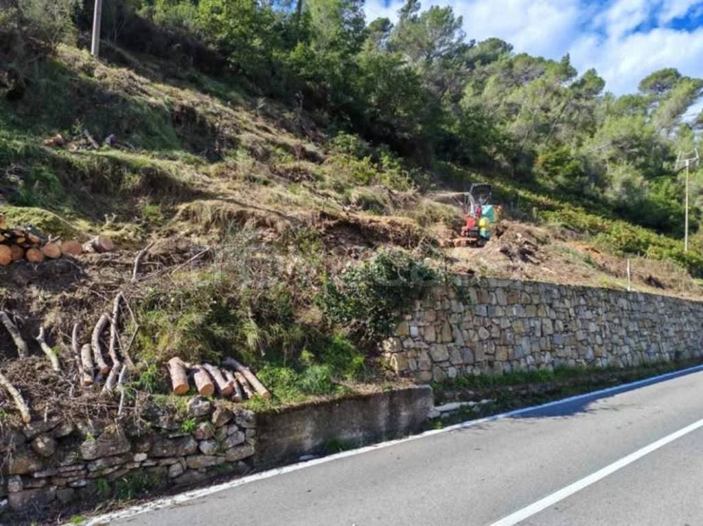 immagine annuncio 3 di 6