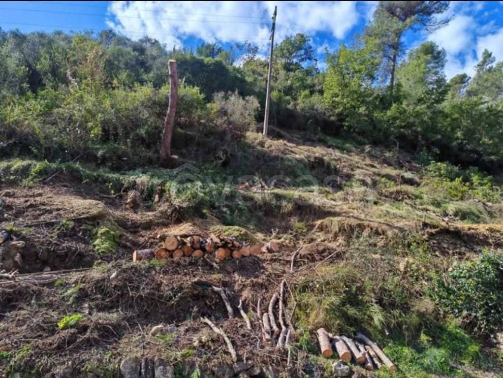 immagine annuncio 4 di 6