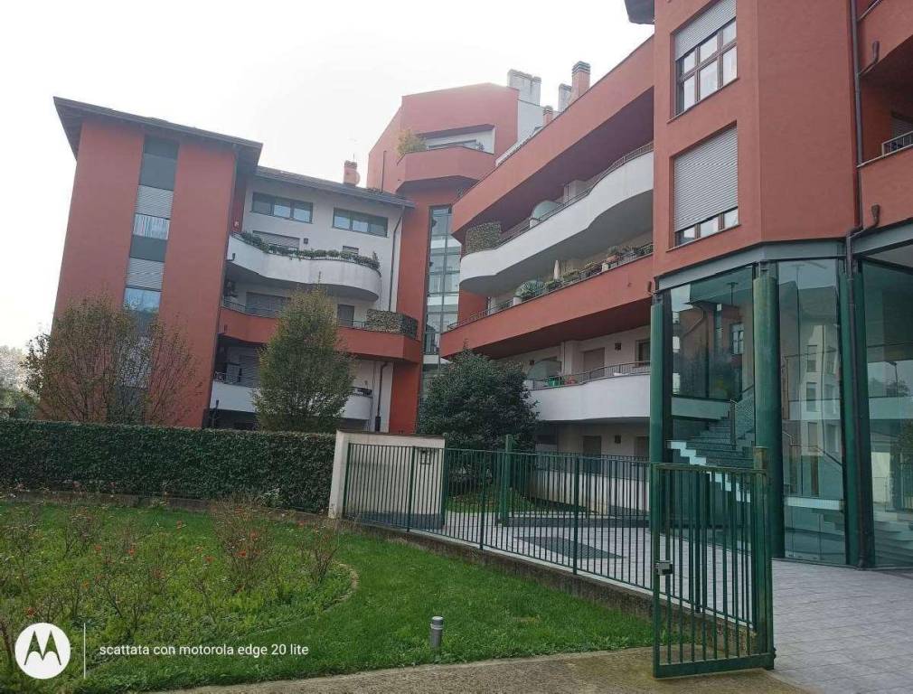 immagine annuncio 4 di 15