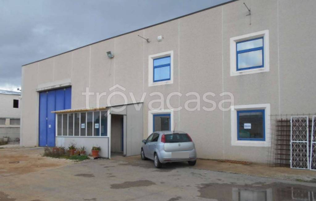 immagine annuncio 6 di 13