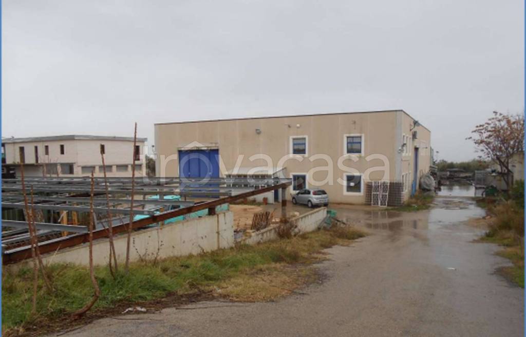 immagine annuncio 7 di 13