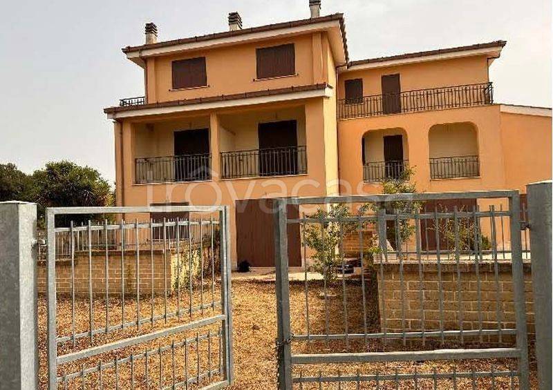 immagine annuncio 5 di 8