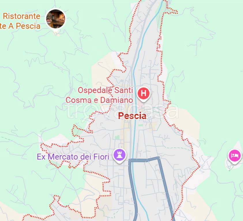 immagine annuncio 6 di 11