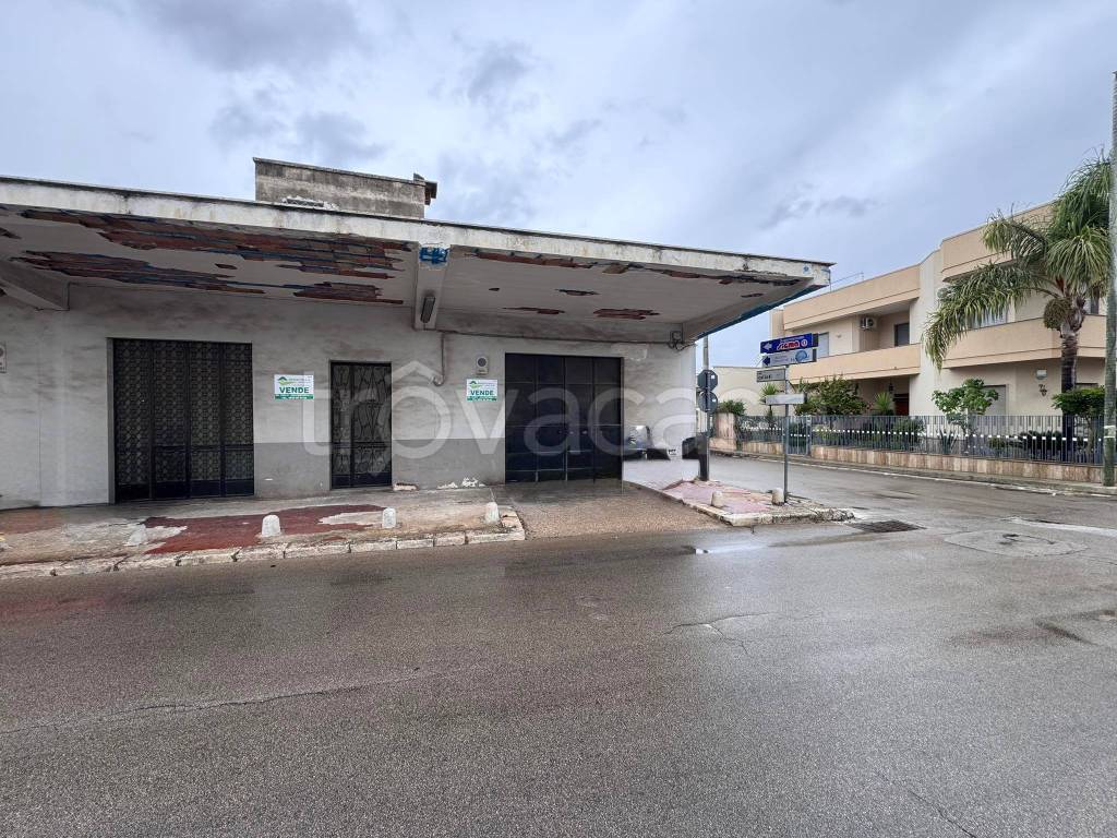 immagine annuncio 3 di 4