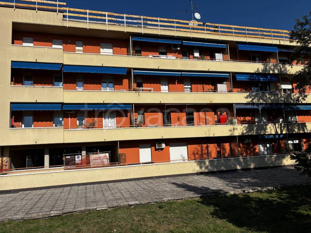 immagine annuncio 3 di 15