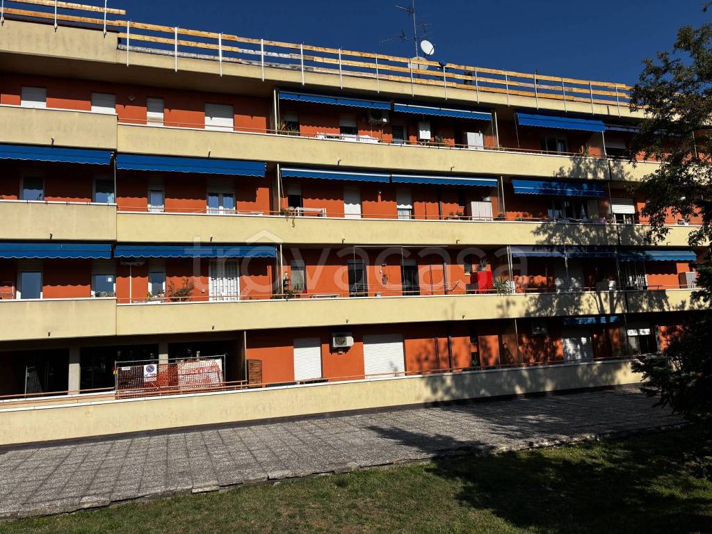 immagine annuncio 4 di 15