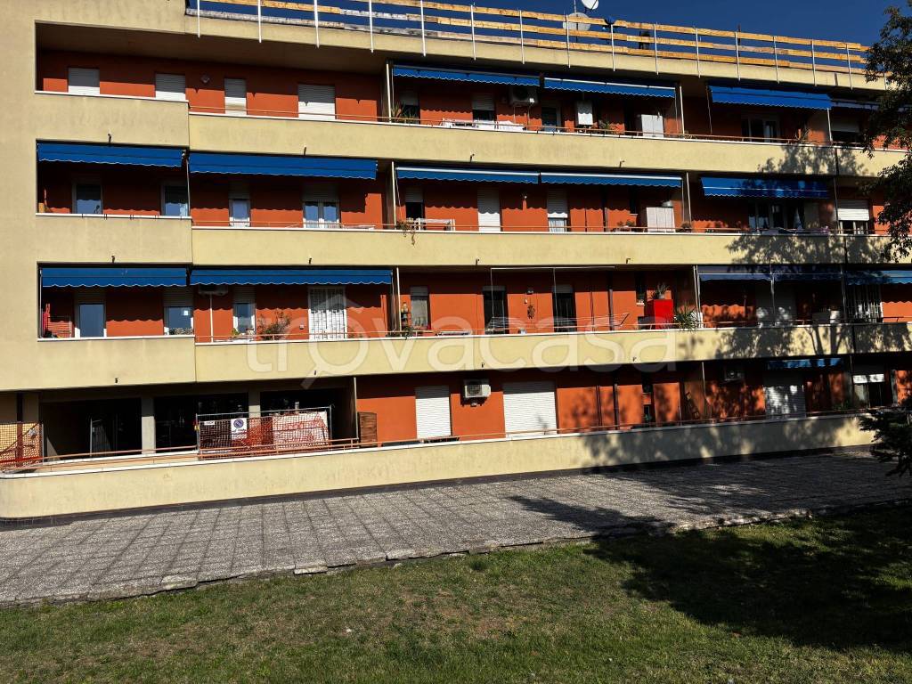 immagine annuncio 5 di 15