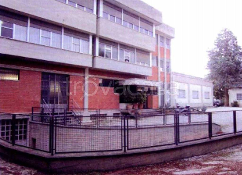 immagine annuncio 6 di 12