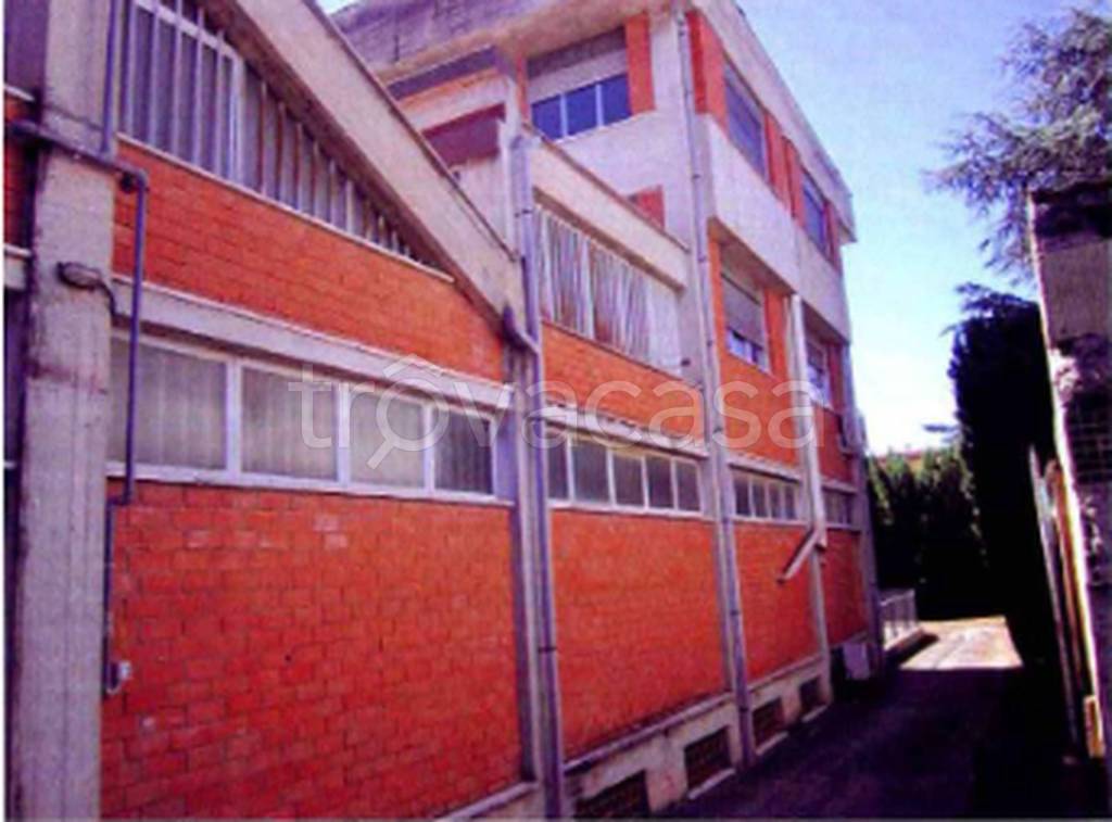 immagine annuncio 7 di 12