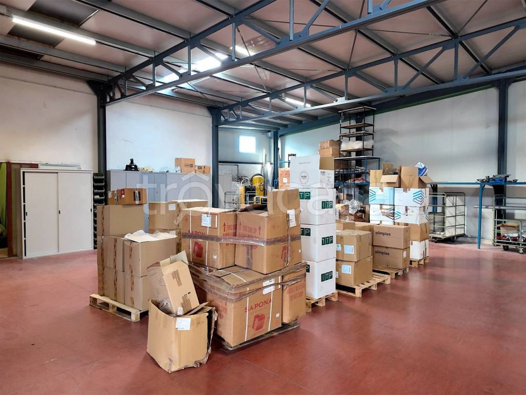 immagine annuncio 9 di 15