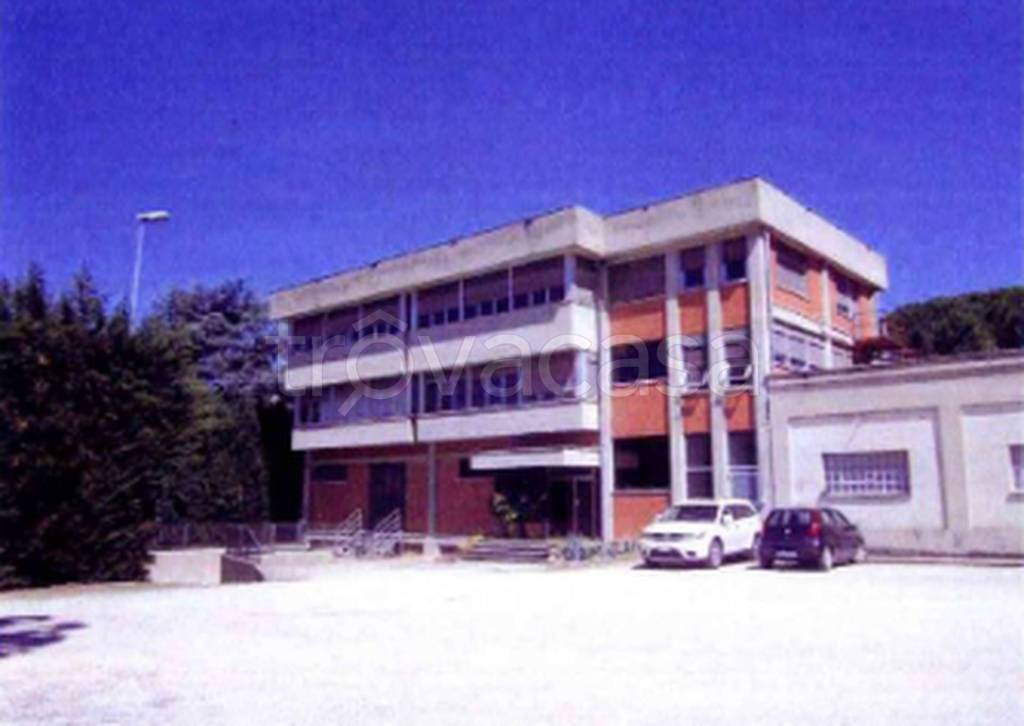 immagine annuncio 8 di 12